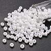 TOHO 3/0 Round Beads SEED-TR03-0041-1