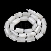 Natural Rainbow Moonstone Beads Strands G-C270-J01-3