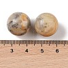 Natural Crazy Agate No Hole Sphere Beads G-K353-04D-34-3