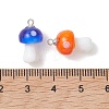 Handmade Lampwork Pendants PALLOY-JF05446-02-3