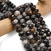 Natural Gemstone Beads Strands G-Z111-A34-1