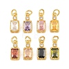 Brass Pave Cubic Zirconia Charms CU-CBA3D67-07G-1