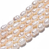Natural Cultured Freshwater Pearl Beads Strands X-PEAR-N012-05E-3