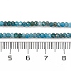Natural Apatite Beads Strands X-G-F770-D09-02B-5