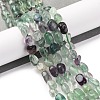 Natural Fluorite Beads Strands G-G146-A16-01-2
