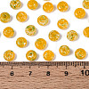 Picasso Glass Seed Beads SEED-N010-01B-4