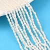 Natural Cultured Freshwater Pearl Beads Strands PEAR-F020-14-1