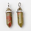 Natural Unakite Double Terminated Pointed Pendants G-F295-04B-4