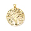 Rack Plating Brass Micro Pave Cubic Zirconia Pendants KK-L226-051G-01-1