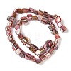 Dyed Natural Freshwater Shell Beads Strands SHEL-P016-01G-2