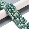 Baking Paint Glass Bead Strands GLAA-H031-01B-07-2