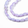 Natural Freshwater Shell Beads Strands SHEL-N003-25-B04-3