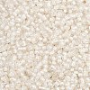 12/0 Glass Seed Beads SDB201-1