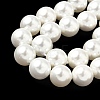 Shell Pearl Beads Strands BSHE-K015-10mm-04-3