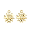 Alloy Charms AL-CBA1FD3-24G-02-2