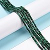 Natural Malachite Beads Strands G-C009-B24-2