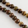 Natural Tiger Eye Round Bead Strands G-R203-10mm-1