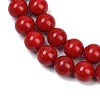 Shell Pearl Beads Strands BSHE-K015-10mm-01-3