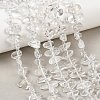 Natural Quartz Crystal Beads Strands G-P619-A01-01-1