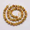 Natural Tiger Eye Bead Strands G-P230-08-E-12mm-2