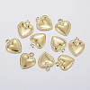 304 Stainless Steel Charms A-STAS-F160-31G-1