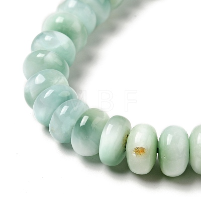 Natural Glass Beads Strands G-I247-36A-1