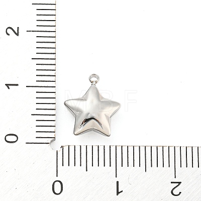 Non-Tarnish 304 Stainless Steel Charms X-STAS-P333-08P-1