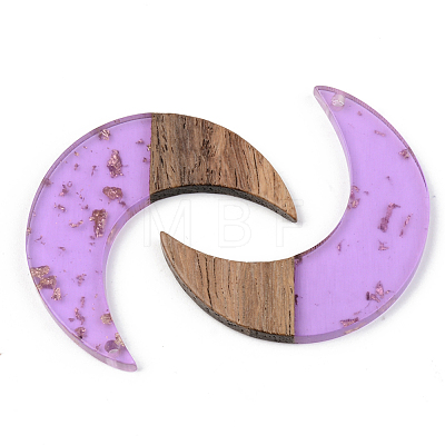 Transparent Resin & Walnut Wood Pendants RESI-S389-056A-B01-1