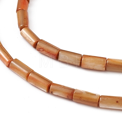 Natural Freshwater Shell Dyed Beads Strands SHEL-M018-11-11-1