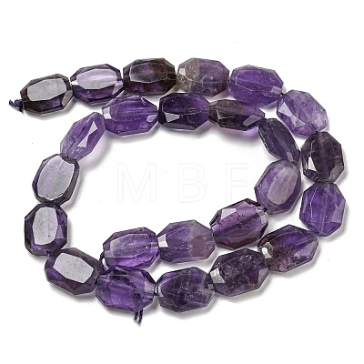 Natural Amethyst Beads Strands G-P544-B06-01-1