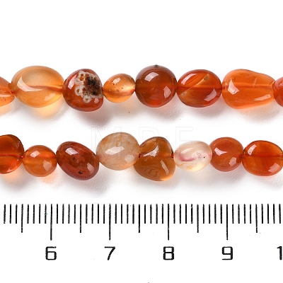 Natural Carnelian Beads Strands X-G-P497-01C-35-1