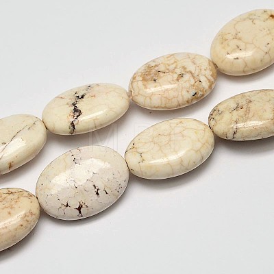 Flat Oval Natural Magnesite Beads Strands G-M138-13-1