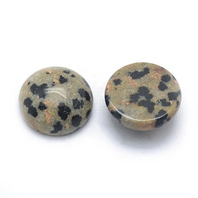 Natural Dalmatian Jasper Cabochons G-P393-R33-14mm-1