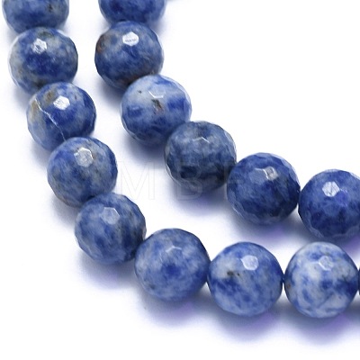 Natural Blue Spot Jasper Beads Strands G-K310-A22-10mm-1