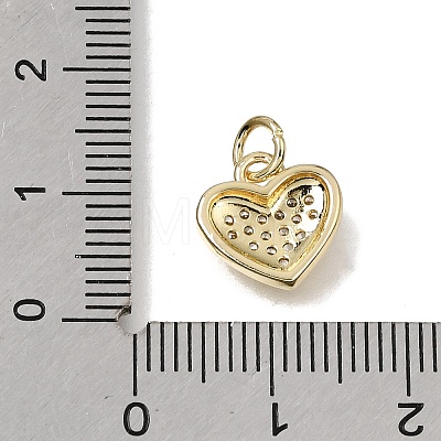 Brass Micro Pave Clear Cubic Zirconia Charms CU-L001-19G-07-1