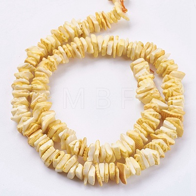 Natural Sea Shell Beads Strands X-BSHE-K012-08B-1