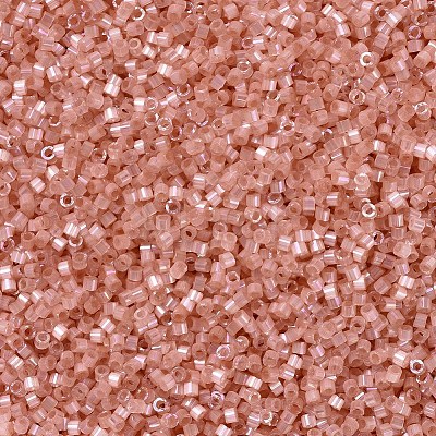 MIYUKI Delica Beads SEED-X0054-DB1863-1