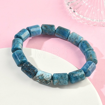 Column Natural Apatite Beads Stretch Bracelets for Women Men BJEW-A148-01A-18-1