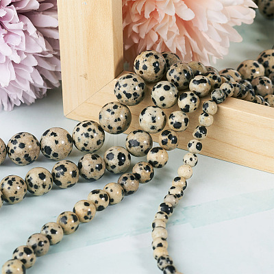 4 Strands 4 Style Natural Dalmatian Jasper Beads Strands G-YS0001-06-1