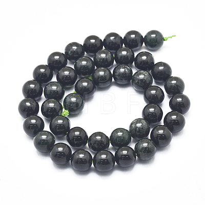 Natura Myanmar Black Jade Beads Strands G-D0001-06-10mm-1