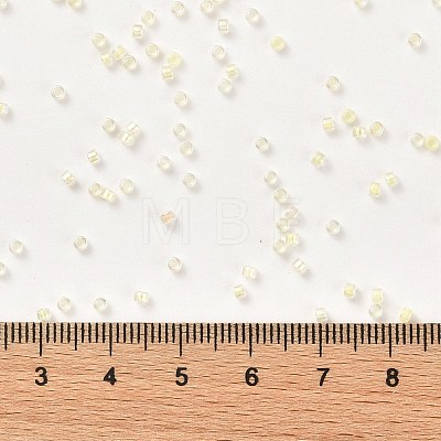 Cylinder Seed Beads SEED-H001-A08-1