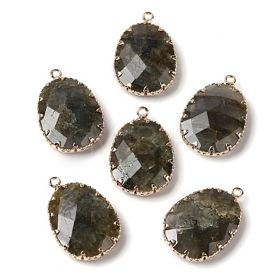 Natural Labradorite Faceted Pendants G-Q169-01G-03-1