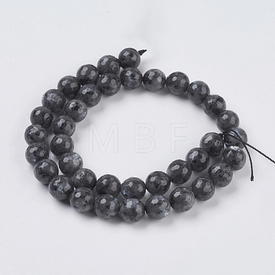 Natural Larvikite Beads Strands G-G542-10mm-27-1