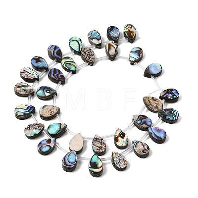 Natural Abalone Shell Paua Shell Beads Strands SH-CBA69D1-02-1