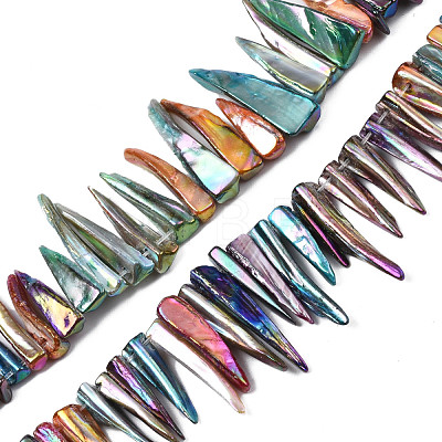 Electroplated Natural Freshwater Shell Beads SHEL-N026-197-1