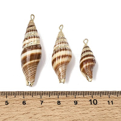 Brass & Natural Shell Pendants SH-CBA27C9-14-1