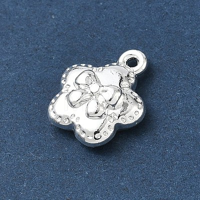 Alloy Charms AL-CBA5B8E-19S-1