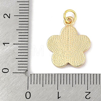 Brass Enamel Pendants KK-B114-08G-1