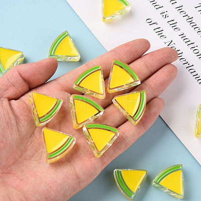 Transparent Enamel Acrylic Beads LS-TACR-S155-001H-1