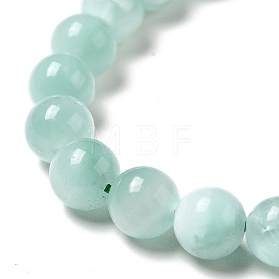 Natural Glass Beads Strands G-I247-31A-1